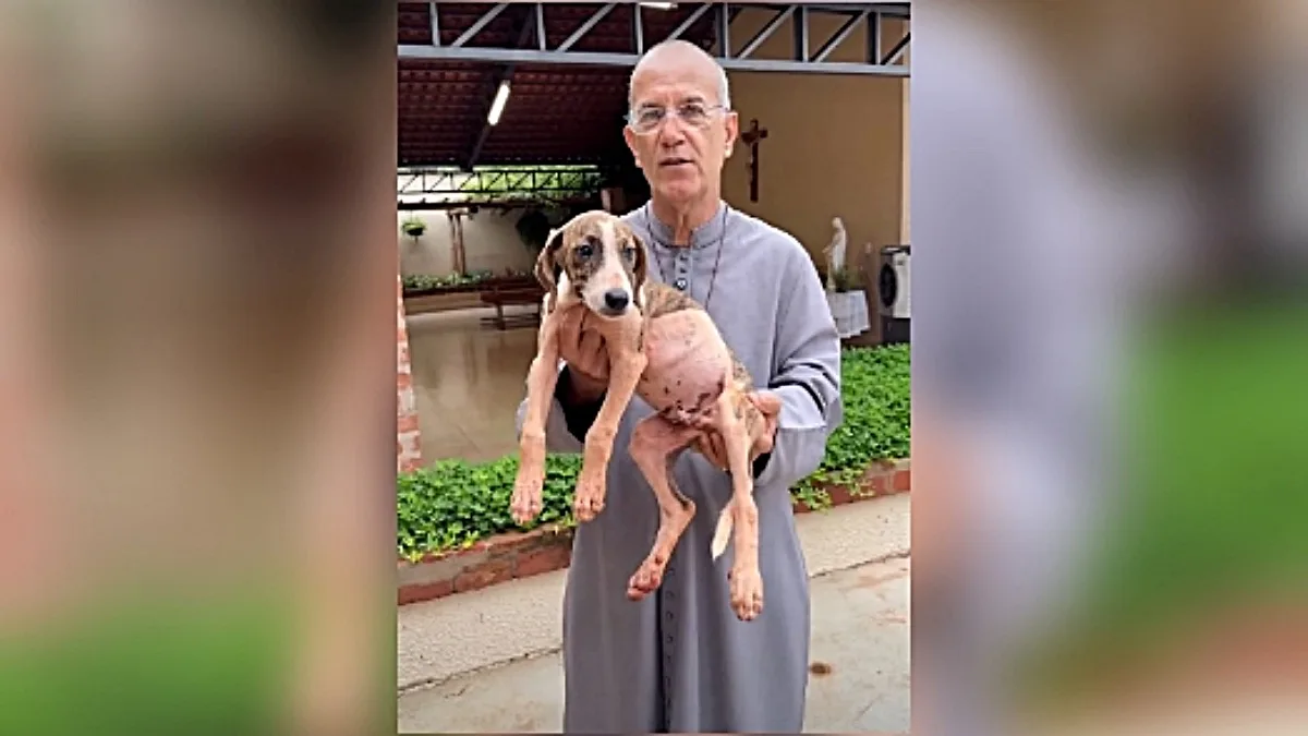 Padre Luiz Augusto explica vídeo com Branquinho e relata rotina de acolhimento