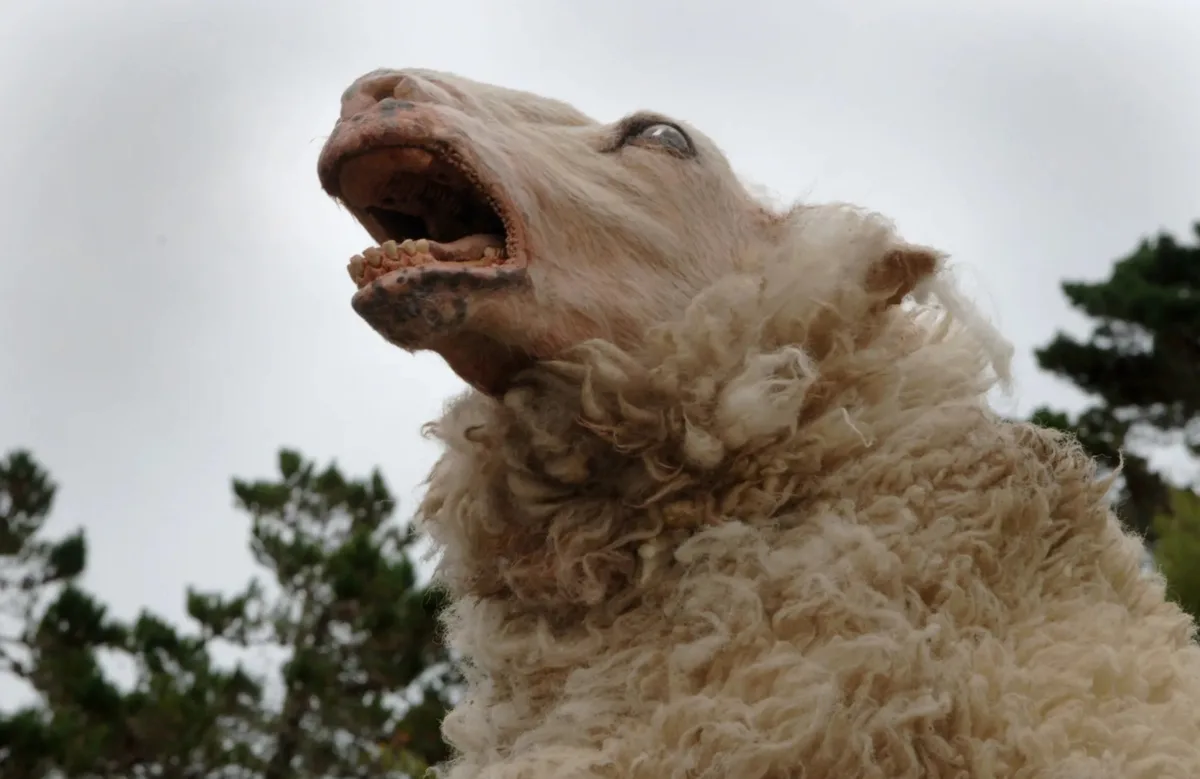 “Black Sheeps” retoma equipe de “Ovelha Negra” em novo trailer