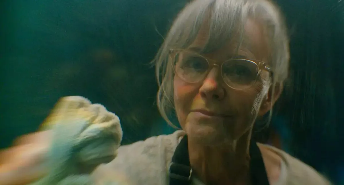 ‘Criaturas Extraordinariamente Brilhantes’ conquista dois prêmios no Emmy Awards 2026