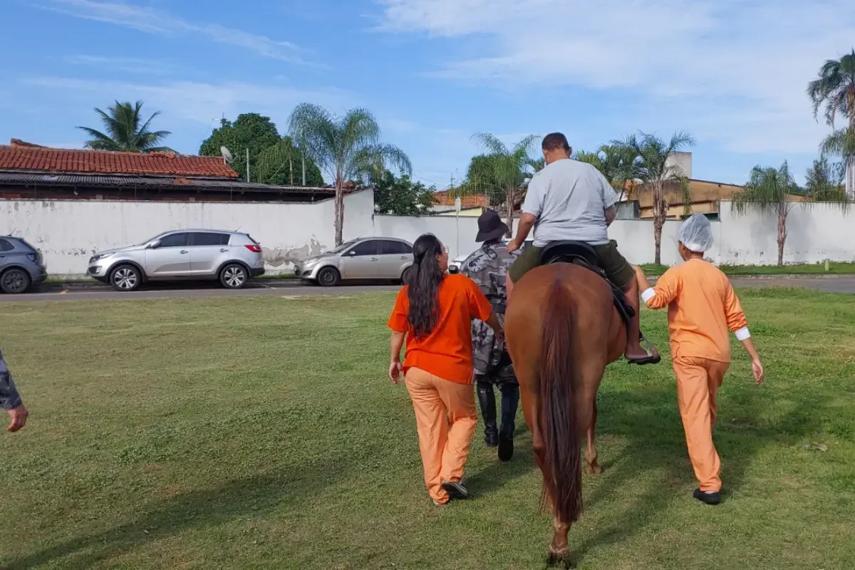 Visitas de cavalos mudam rotina de pacientes em hospital de Goiás