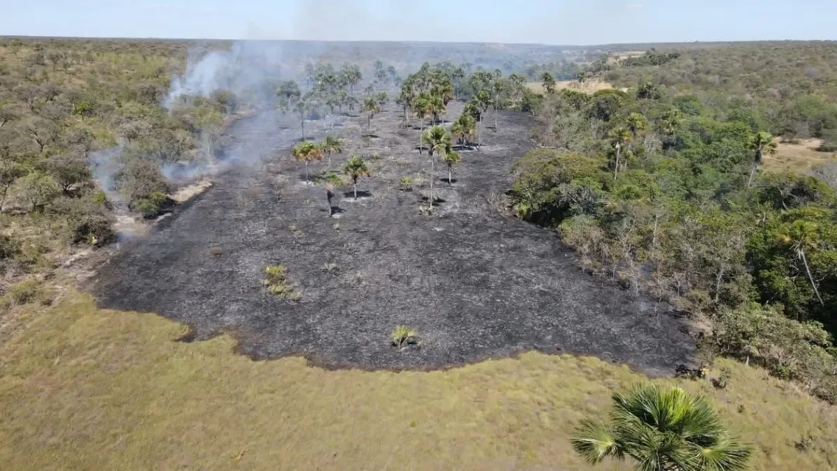 Fogo consome menos vegetação em Goiás até agosto, mostram dados de satélite