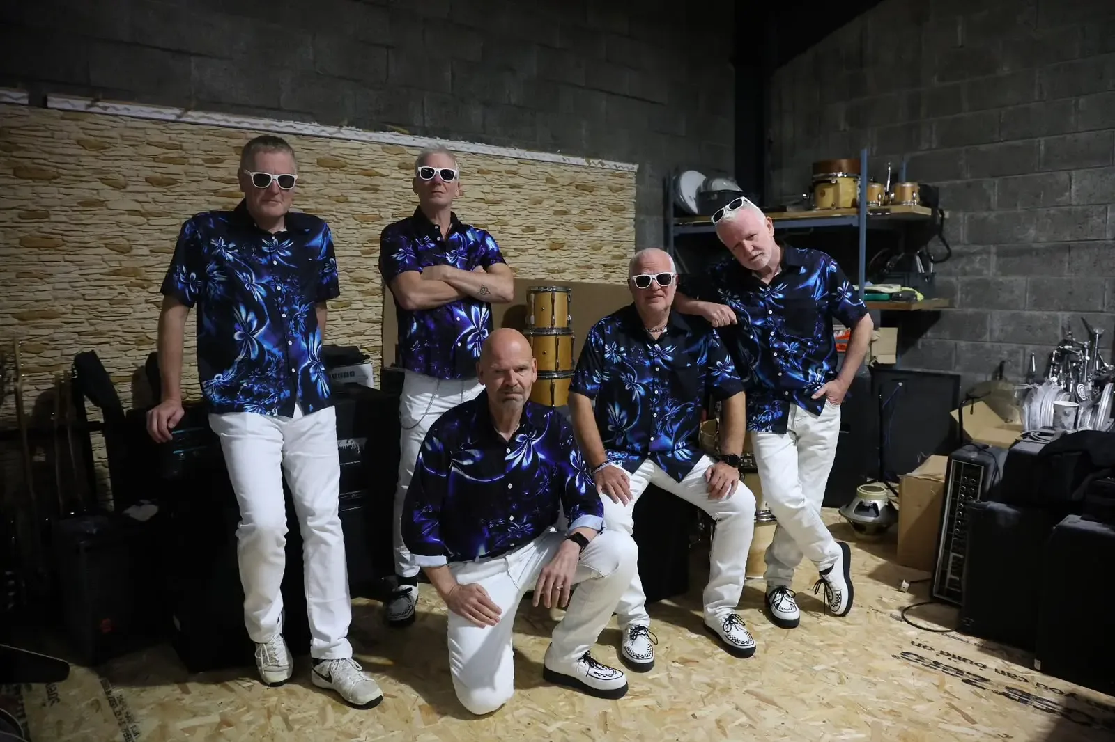 Goiânia recebe noite punk com Teenage Lobotomy, The Gimme Gimme Gimmes e Insanidade