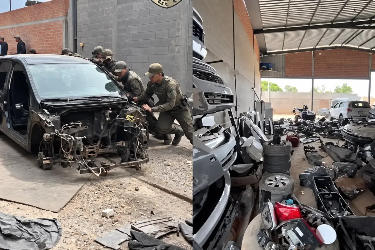 Galpão interditado em Aparecida de Goiânia tinha carros roubados, diz PM