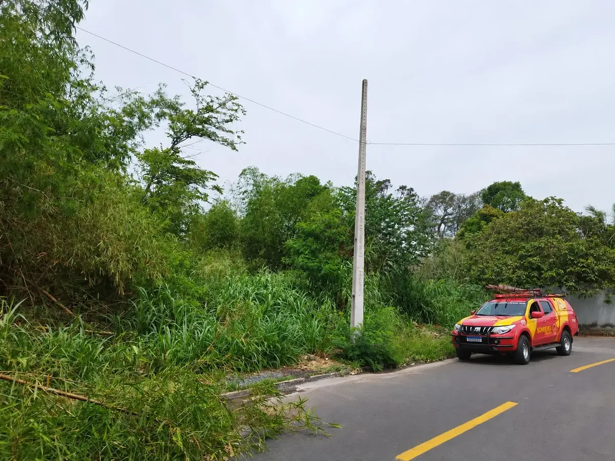 Perícia deve identificar restos encontrados em buscas por idosa em Goiânia