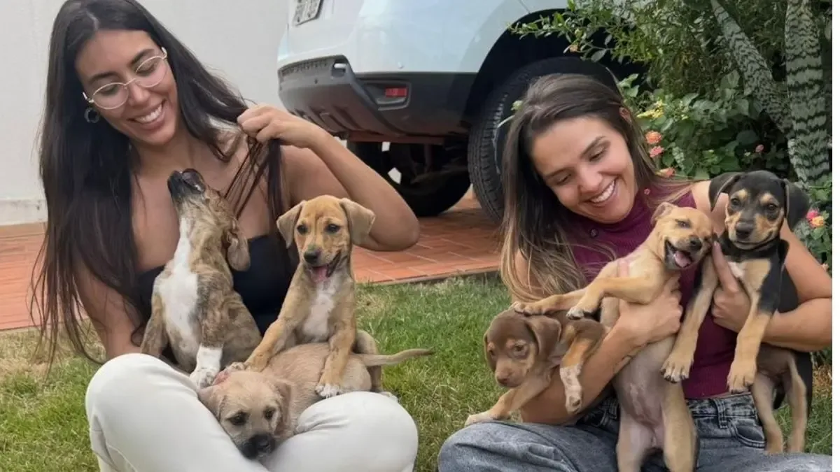 Patas com Propósito GO acumula R$ 13.772,10 em dívidas e pode interromper resgates