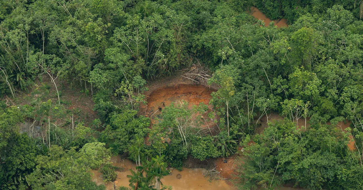 Alertas de desmatamento sobem na Amazônia e recuam no Cerrado em agosto