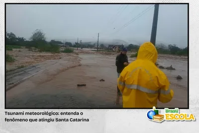 Tsunami meteorológico provoca alagamentos no litoral sul de Santa Catarina