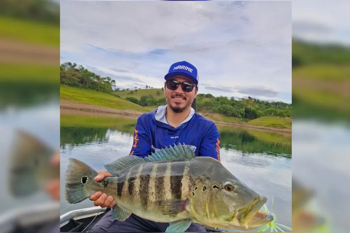 Marcas no corpo identificam tucunaré recapturado na represa de Itumbiara