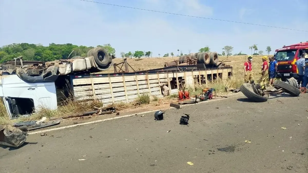 Resgate retira 35 bovinos de caminhão após acidente na GO-244