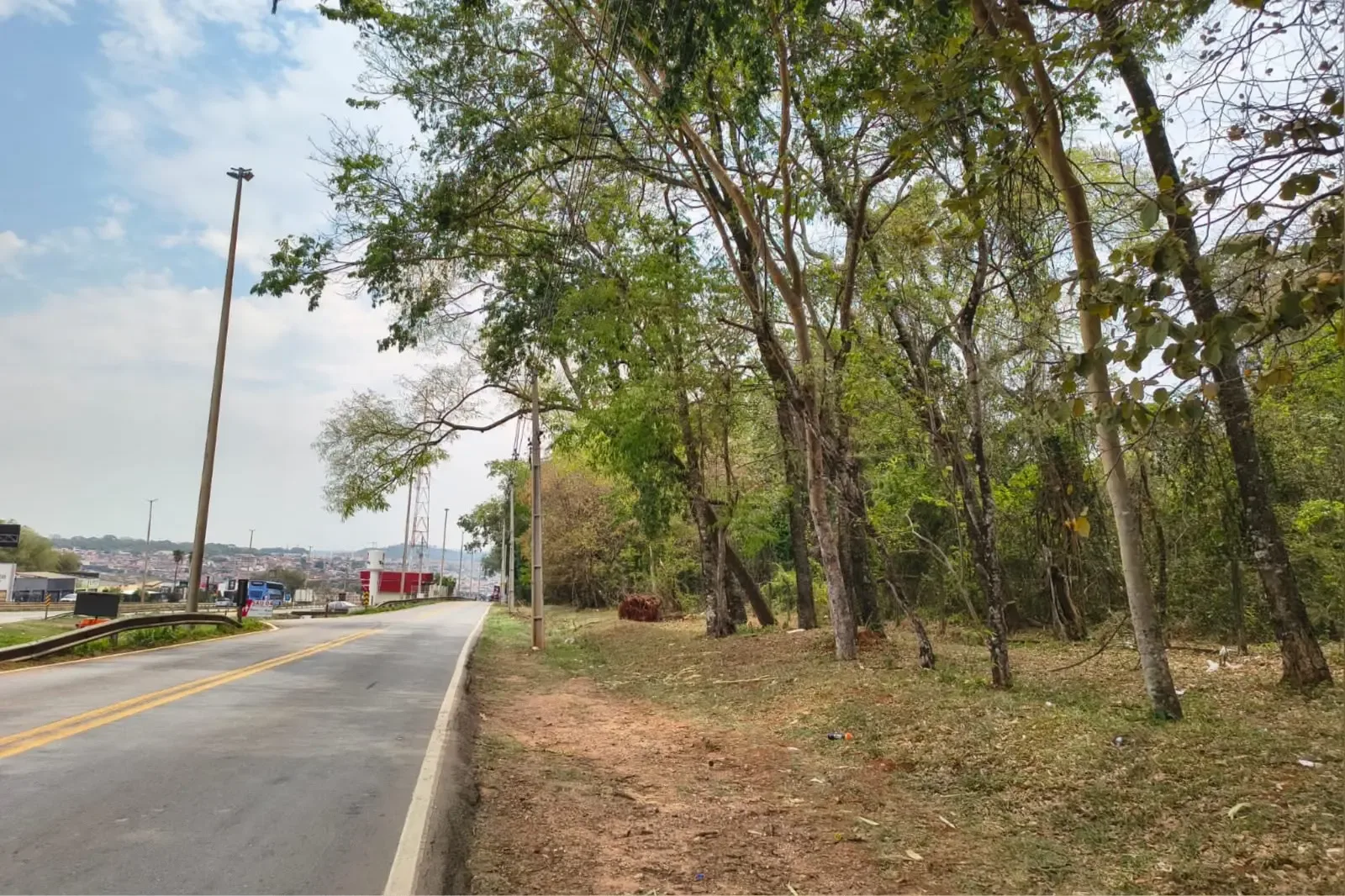 Associação propõe recuperar área de mata de 488 mil m² em Goiânia