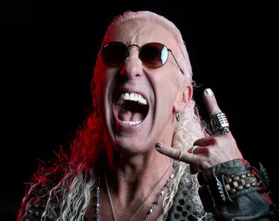 Dee Snider questiona turnês de despedida e bandas sem integrantes clássicos