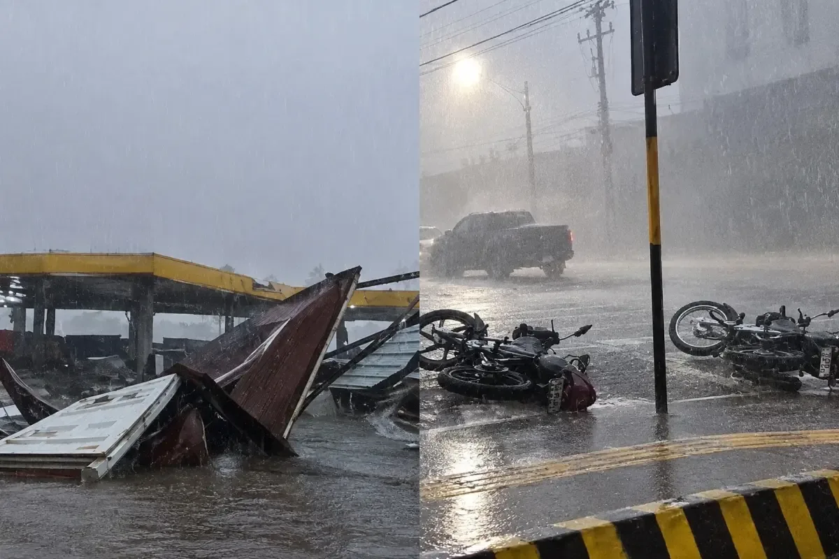 Temporal provoca quedas de árvore e fios em Jataí, em Goiás
