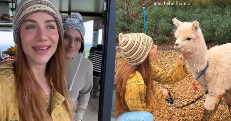Giovanna Ewbank ganha alpaca e minicabra de Bruno Gagliasso no aniversário