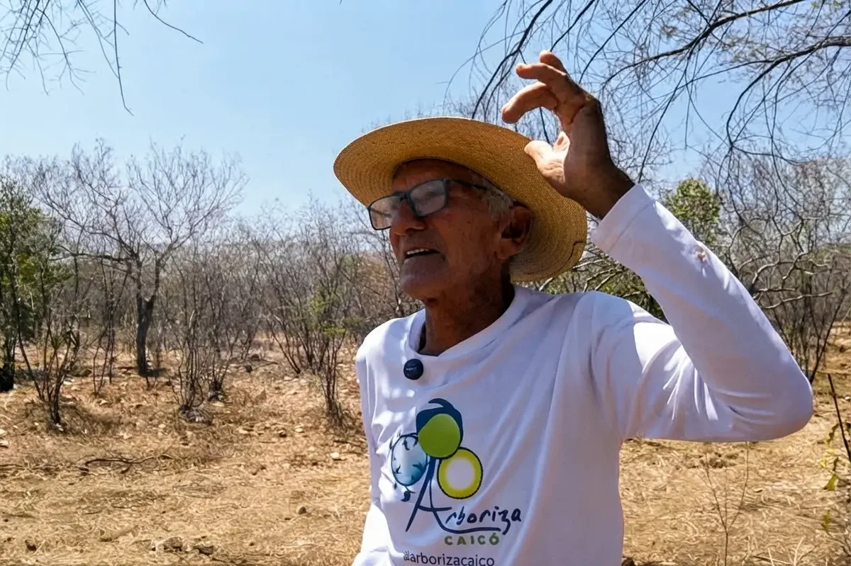 Sertanejo observa plantas e animais para prever chuvas no semiárido