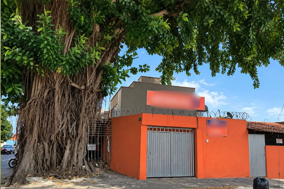 Remoção de árvore em Goiânia terá custo de R$ 39.600 e duração de seis dias
